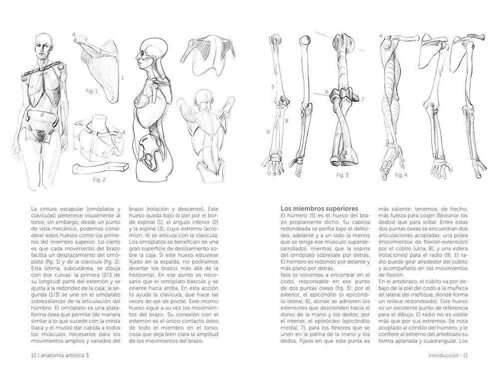 Libro Anatomia - Anatomia Artistica 3. El Esqueleto-2