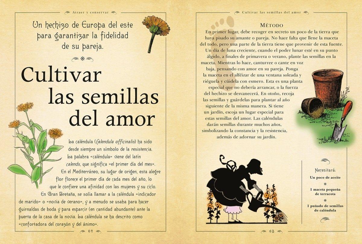 El De Los Hechizos de Editorial Librero-2