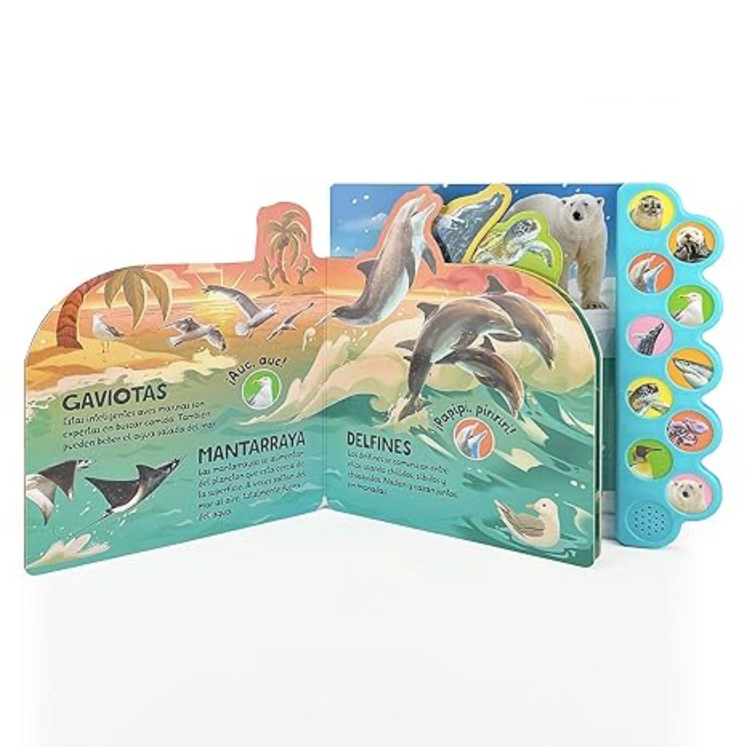 Sonoro 10 sonidos del océano. ¡Nada y salpica en el mar!-2