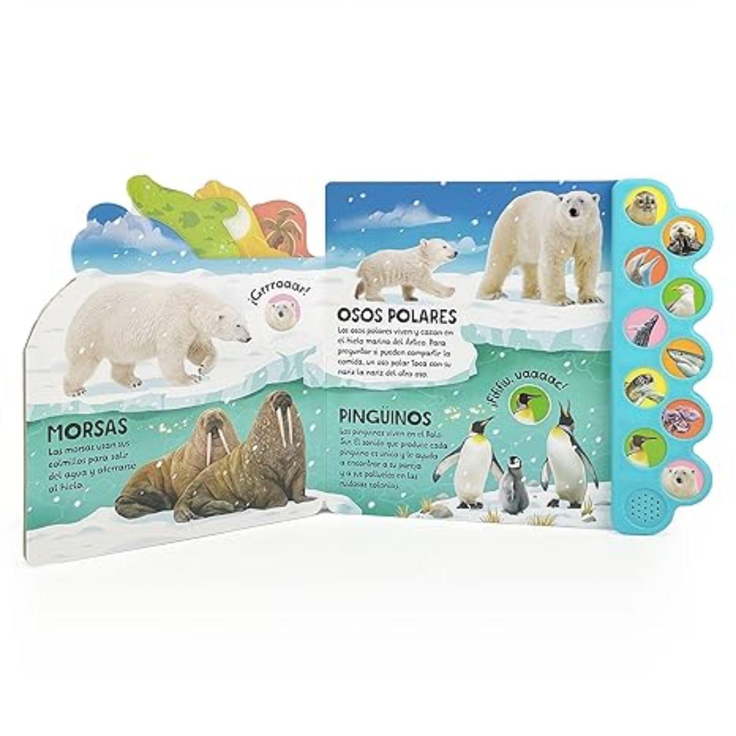 Sonoro 10 sonidos del océano. ¡Nada y salpica en el mar!-3