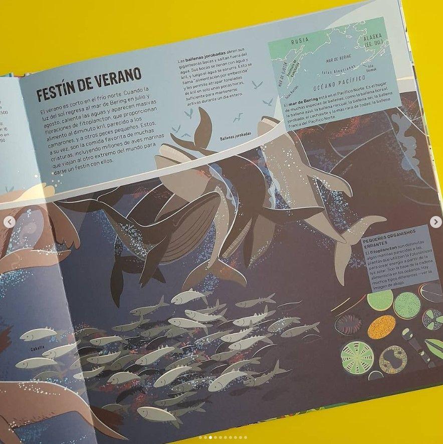 Atlas Animado - Mares Y Océanos (Con App)-2