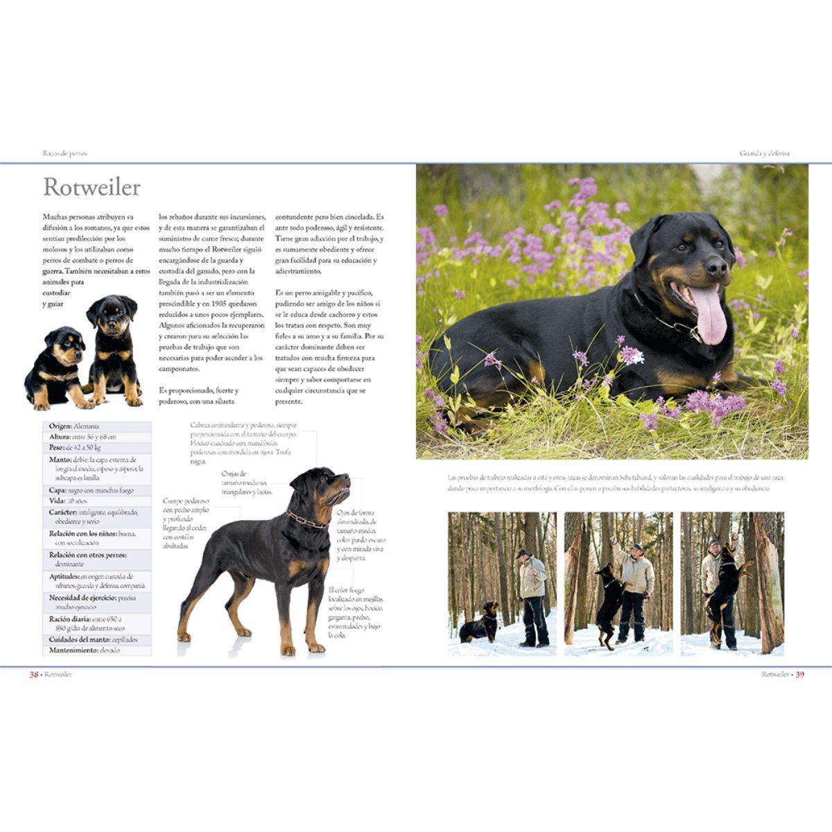 Enciclopedia de las razas de perros-2