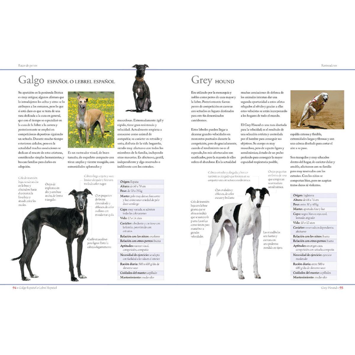 Enciclopedia de las razas de perros-3