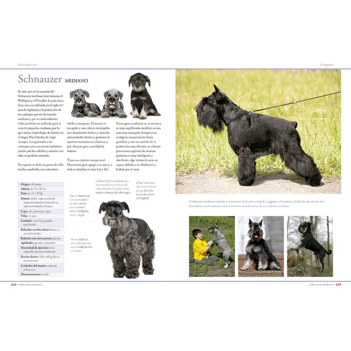 Enciclopedia de las razas de perros-4