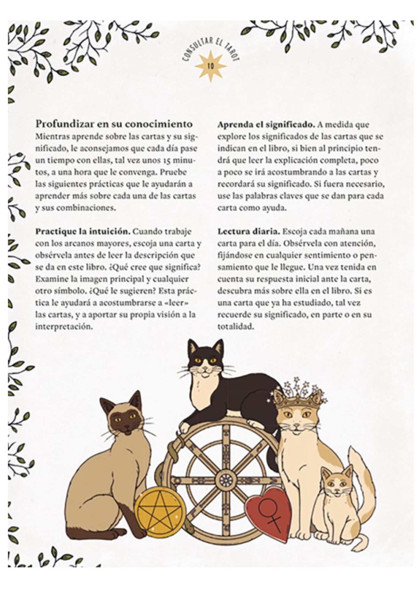 El Tarot De Los Gatos-3