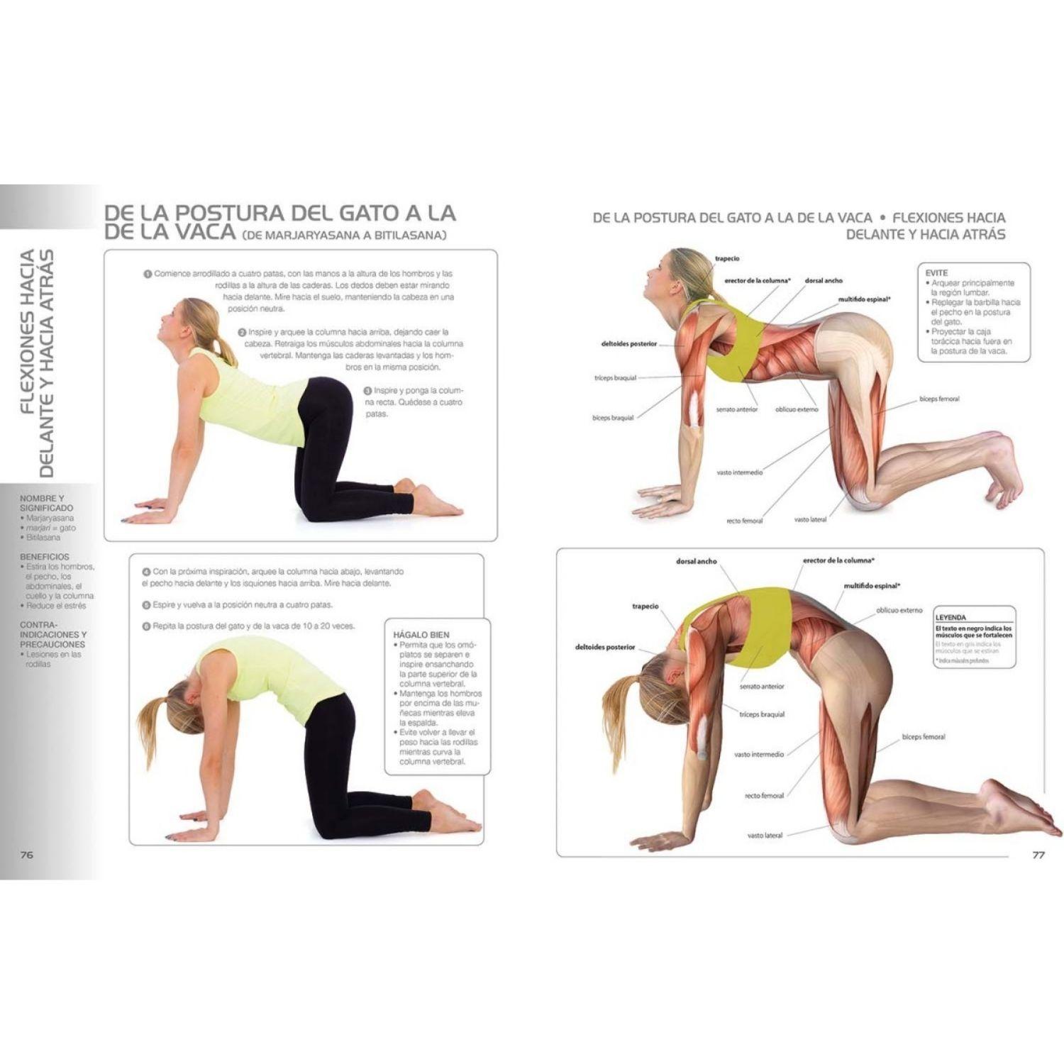 Yoga para principiantes-2