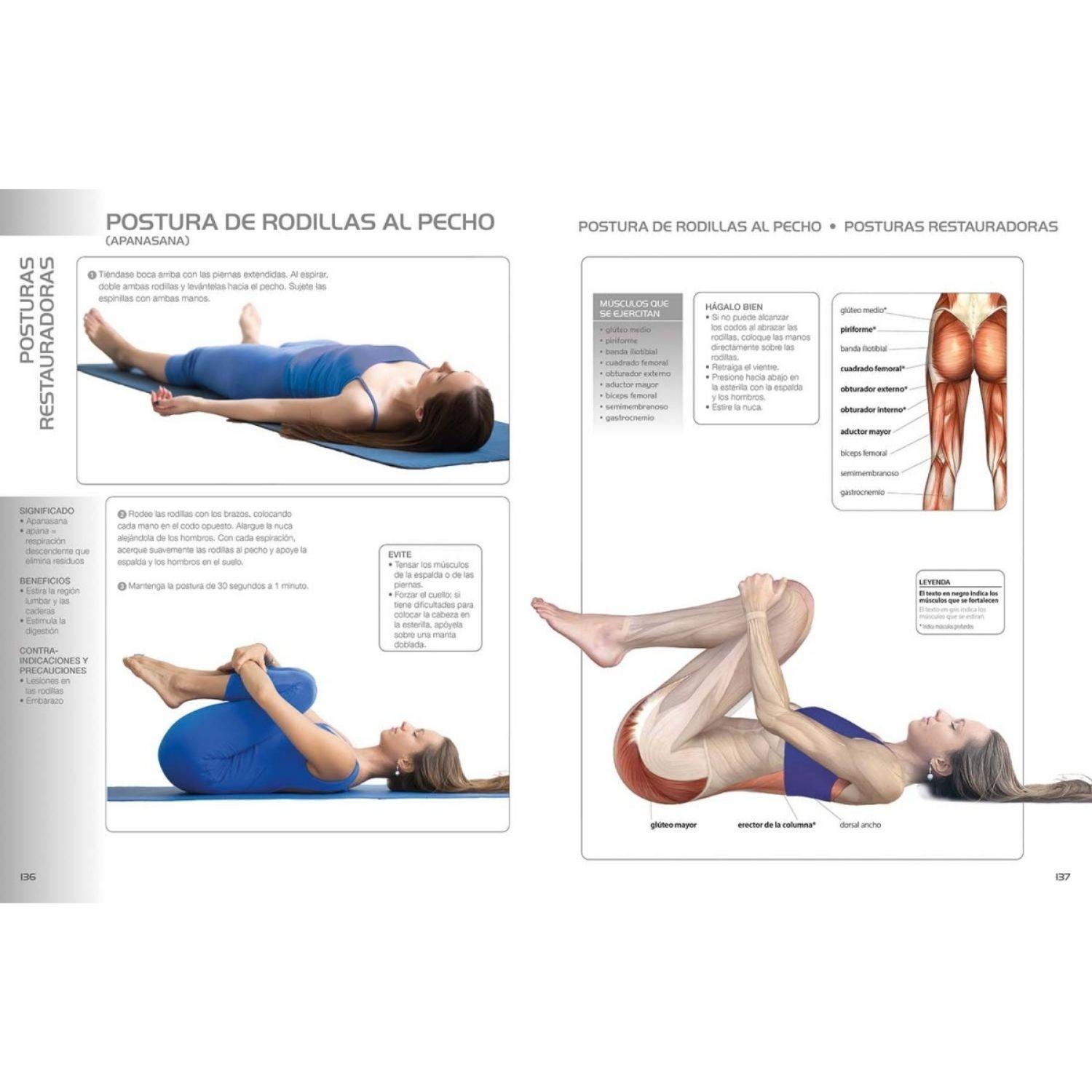 Yoga para principiantes-4