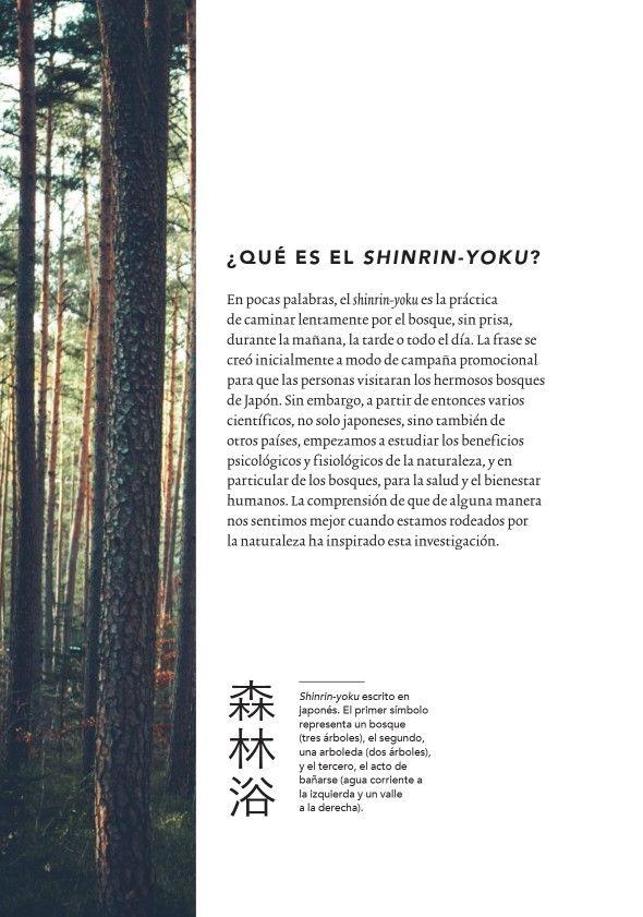 Shinrin-Yoku. Baños Curativos De Bosque-3