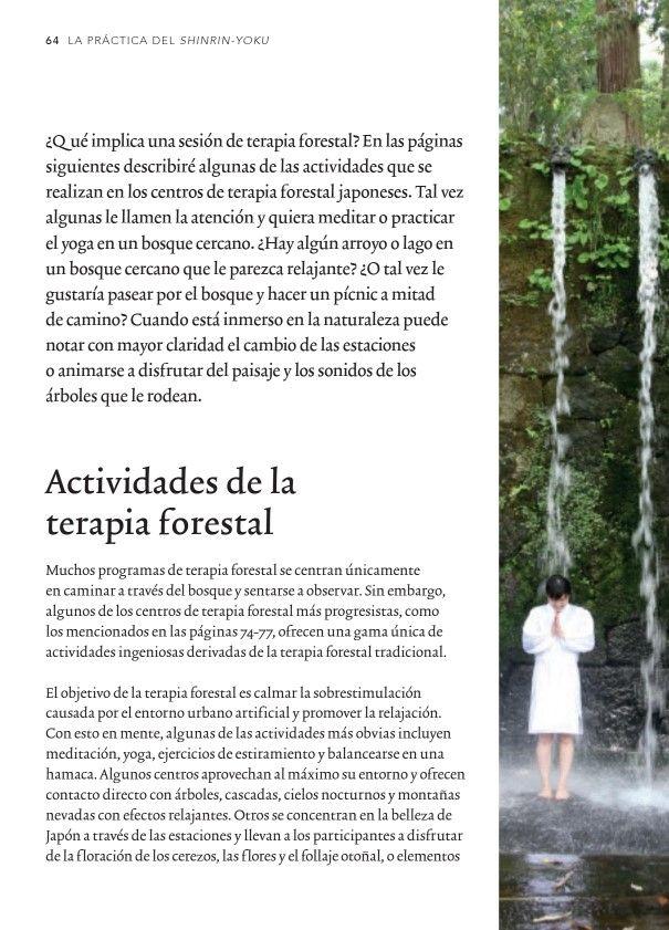 Shinrin-Yoku. Baños Curativos De Bosque-4