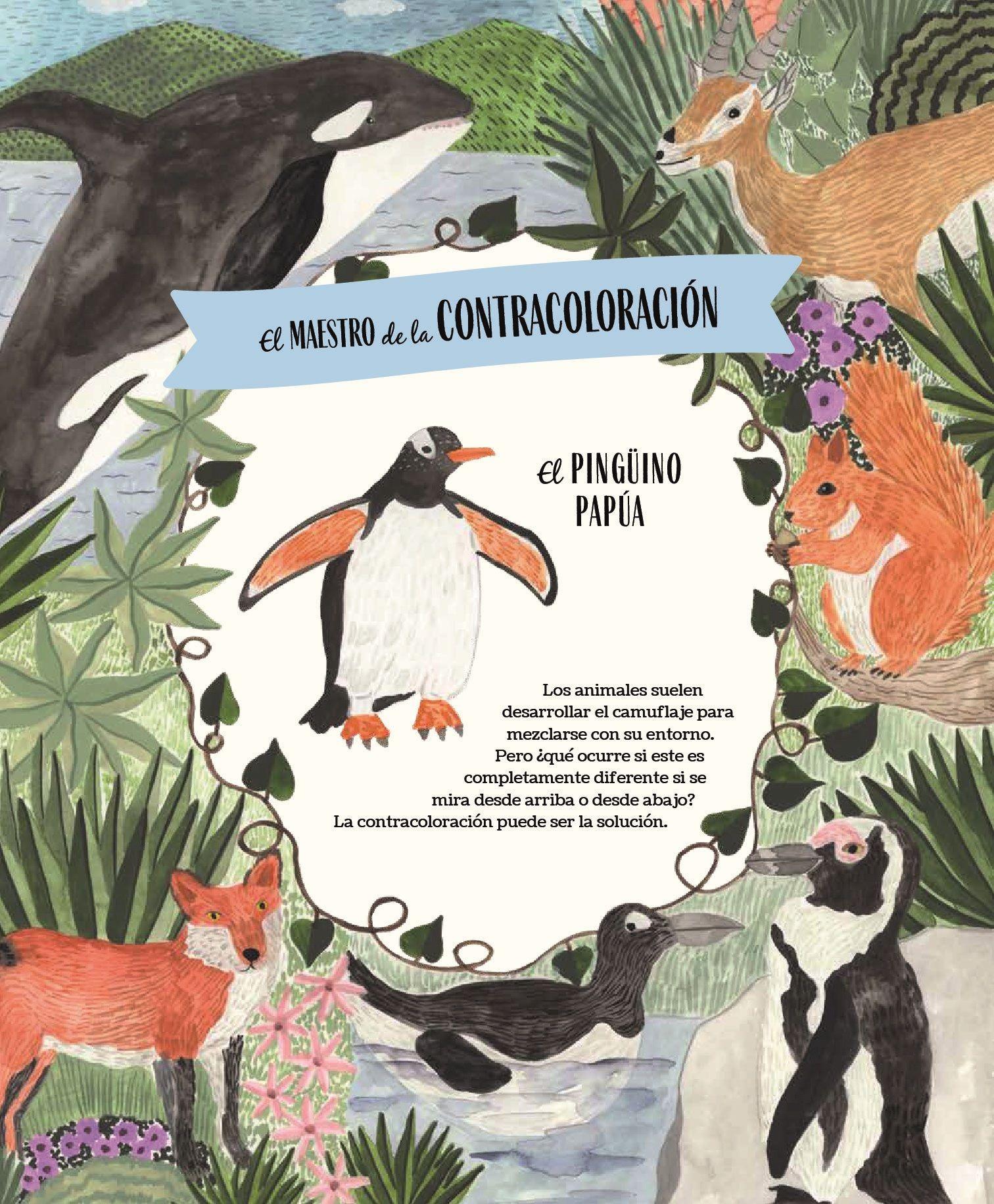 Vida salvaje de Editorial Contrapunto-2