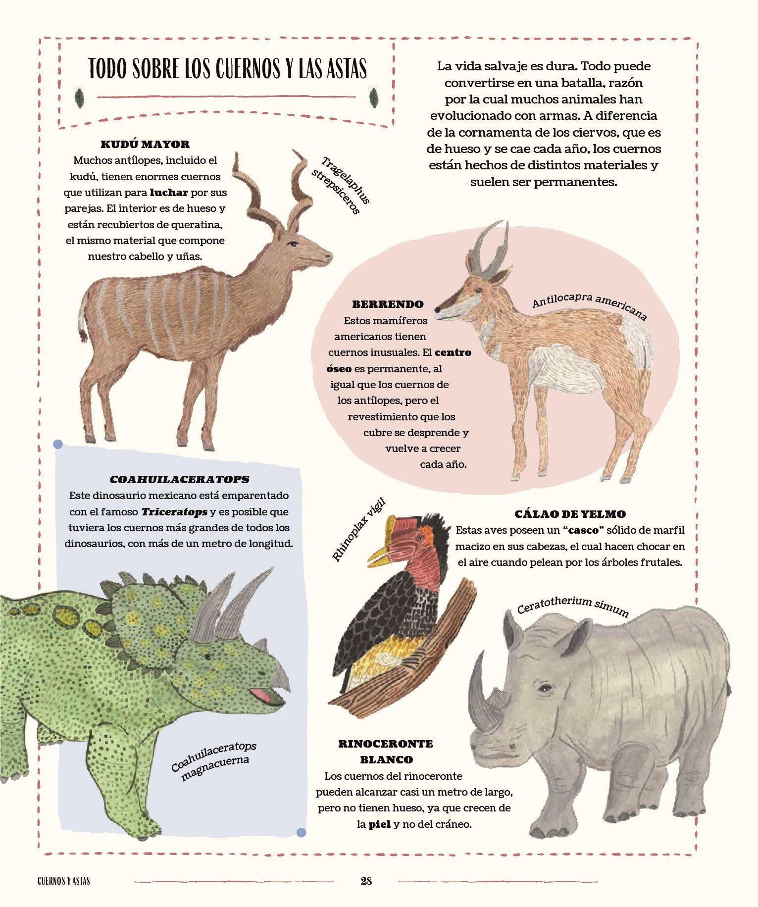 Vida salvaje de Editorial Contrapunto-3