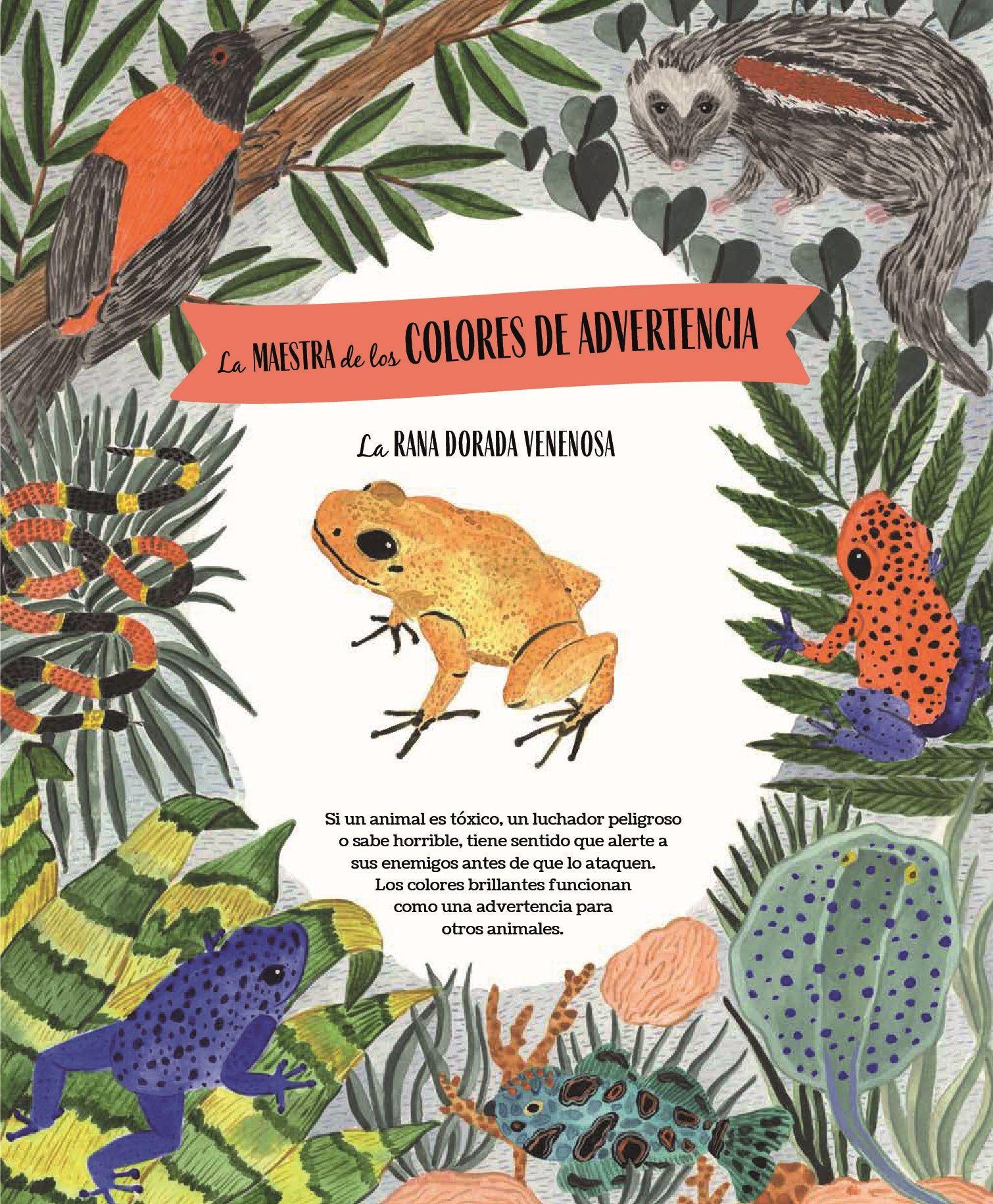 Vida salvaje de Editorial Contrapunto-4