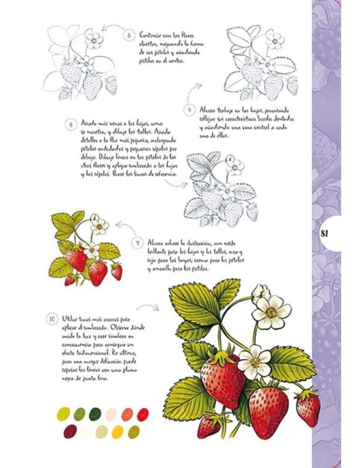 Flores y plantas silvestres - Dibujar en 10 pasos-2