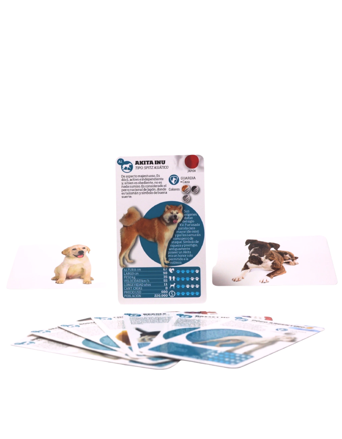 Enciclopedia de Razas de Perros-3