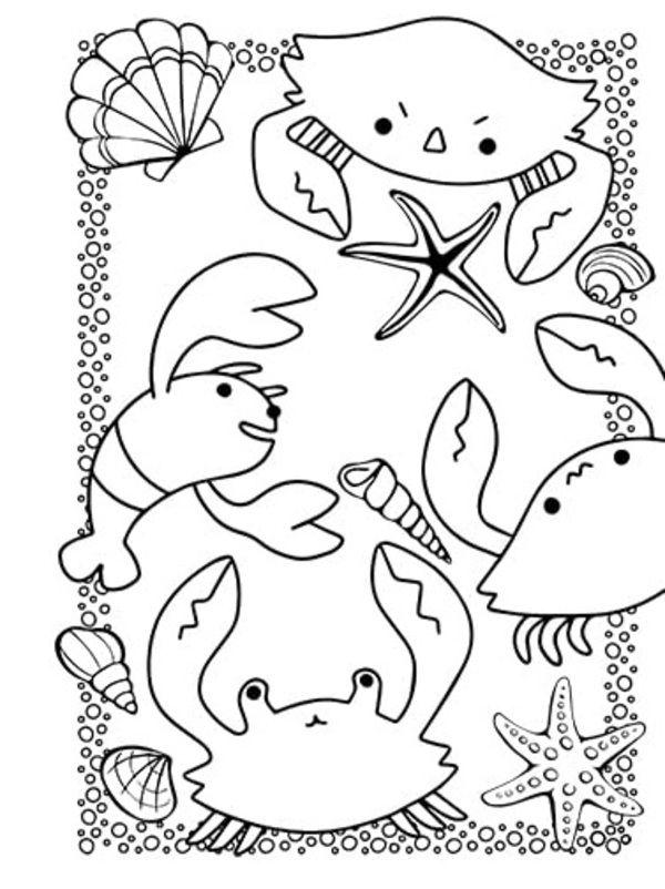 Colorea Cosas Lindas-3