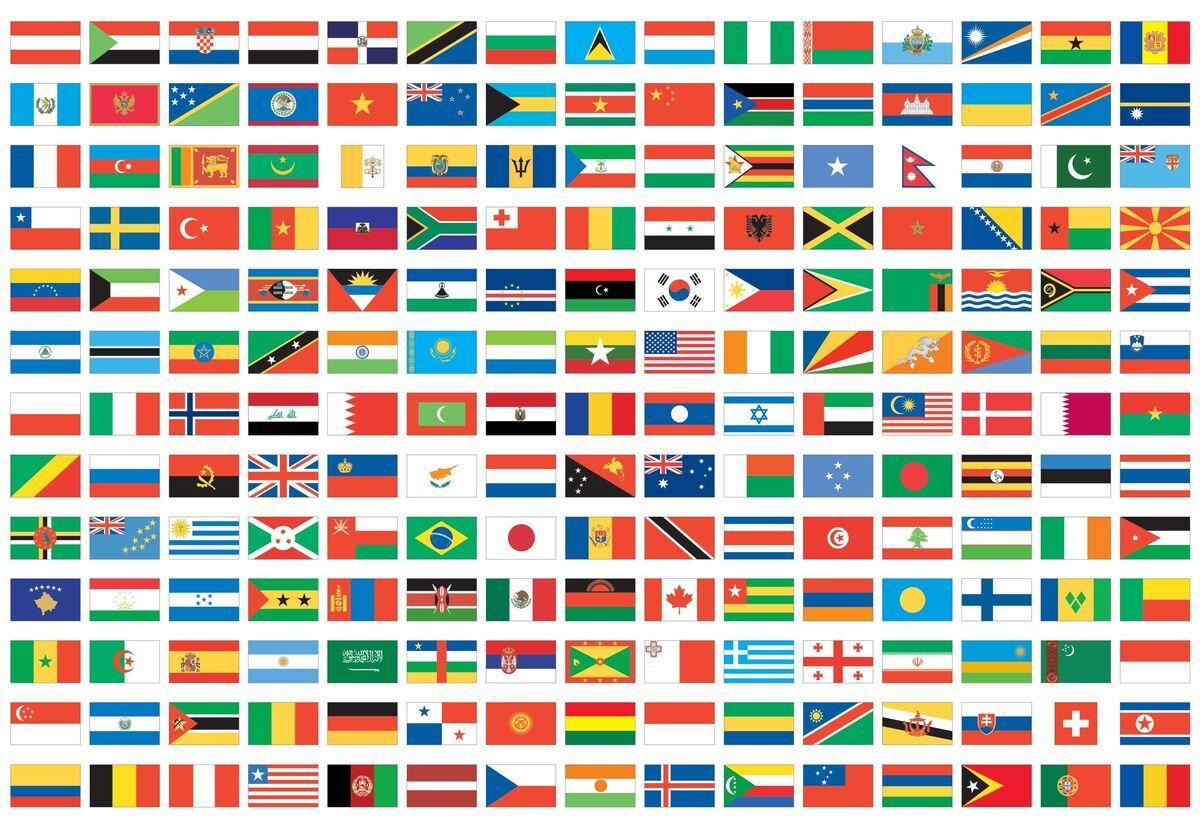 Libro y puzzle. Banderas del mundo (300 piezas)-2