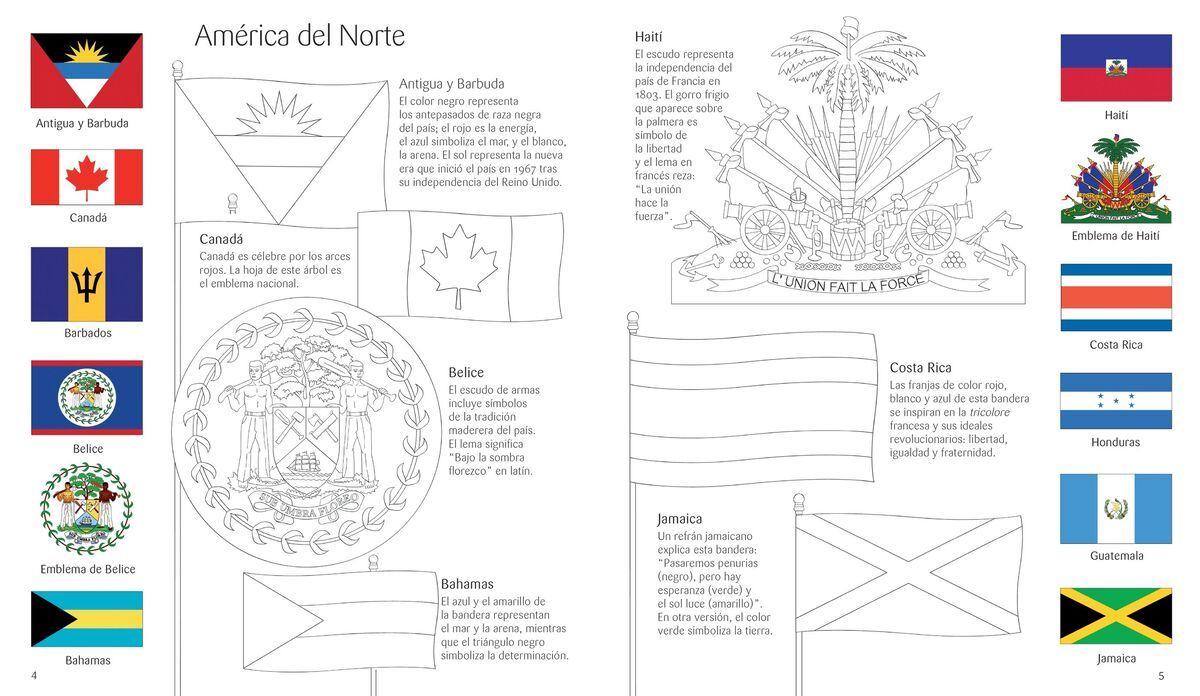Libro y puzzle. Banderas del mundo (300 piezas)-3