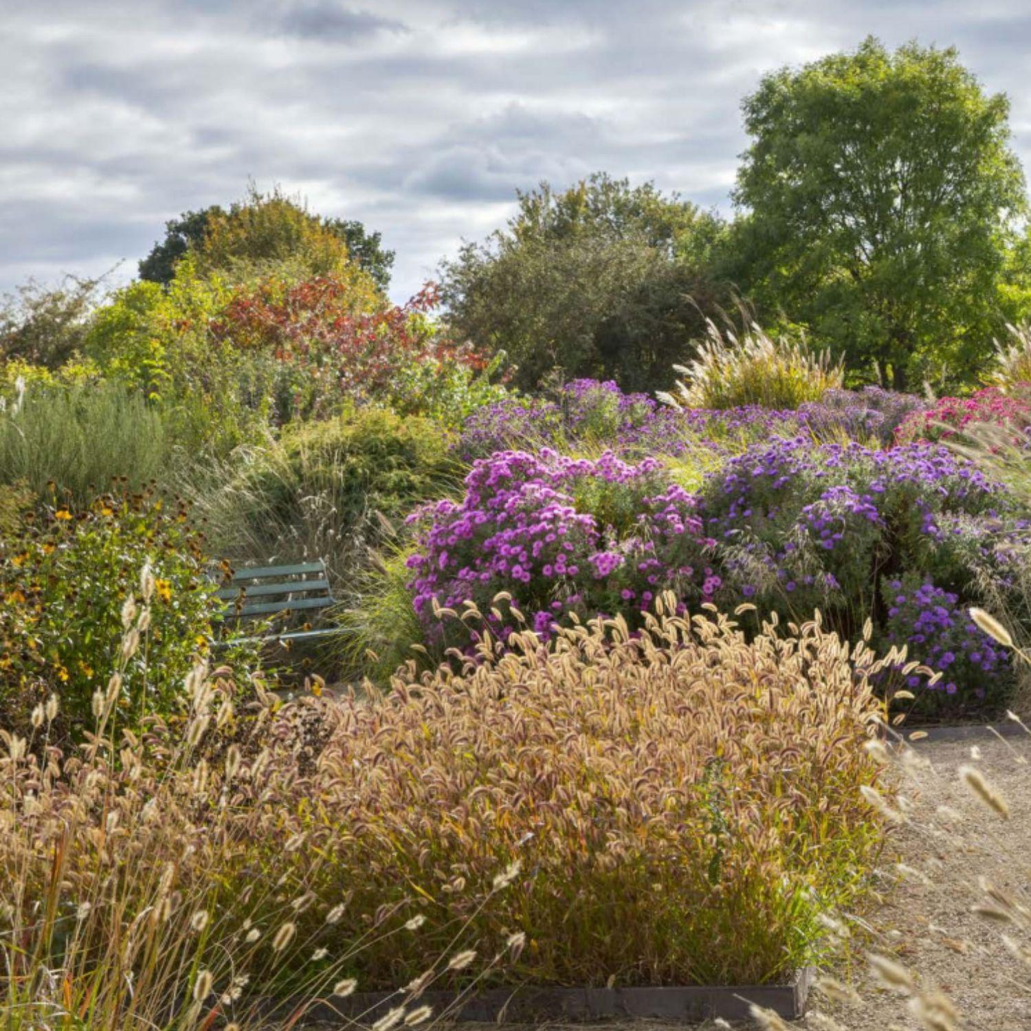 Libro ESTILOS DE JARDIN-1