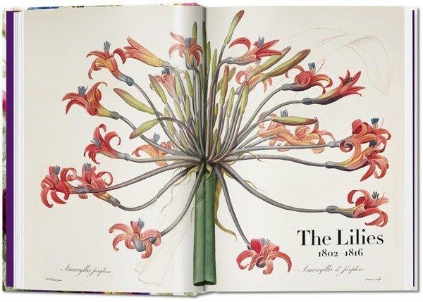 40 - Redoute. El Libro De Las Flores-5