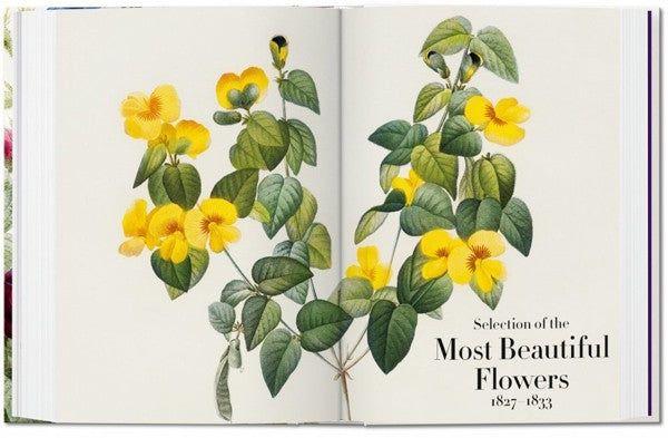 40 - Redoute. El Libro De Las Flores-6