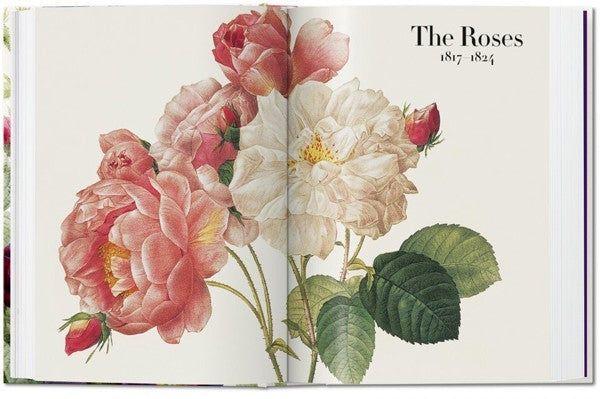 40 - Redoute. El Libro De Las Flores-8