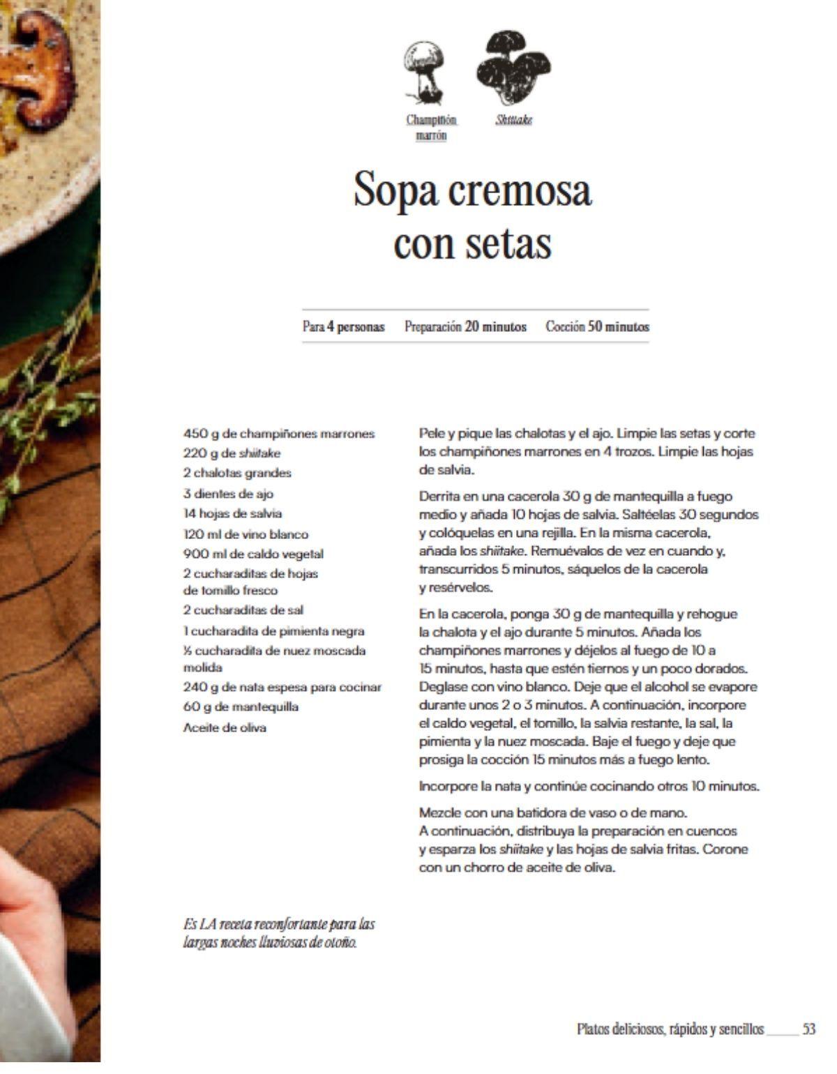 Setas y hongos exquisitos-2