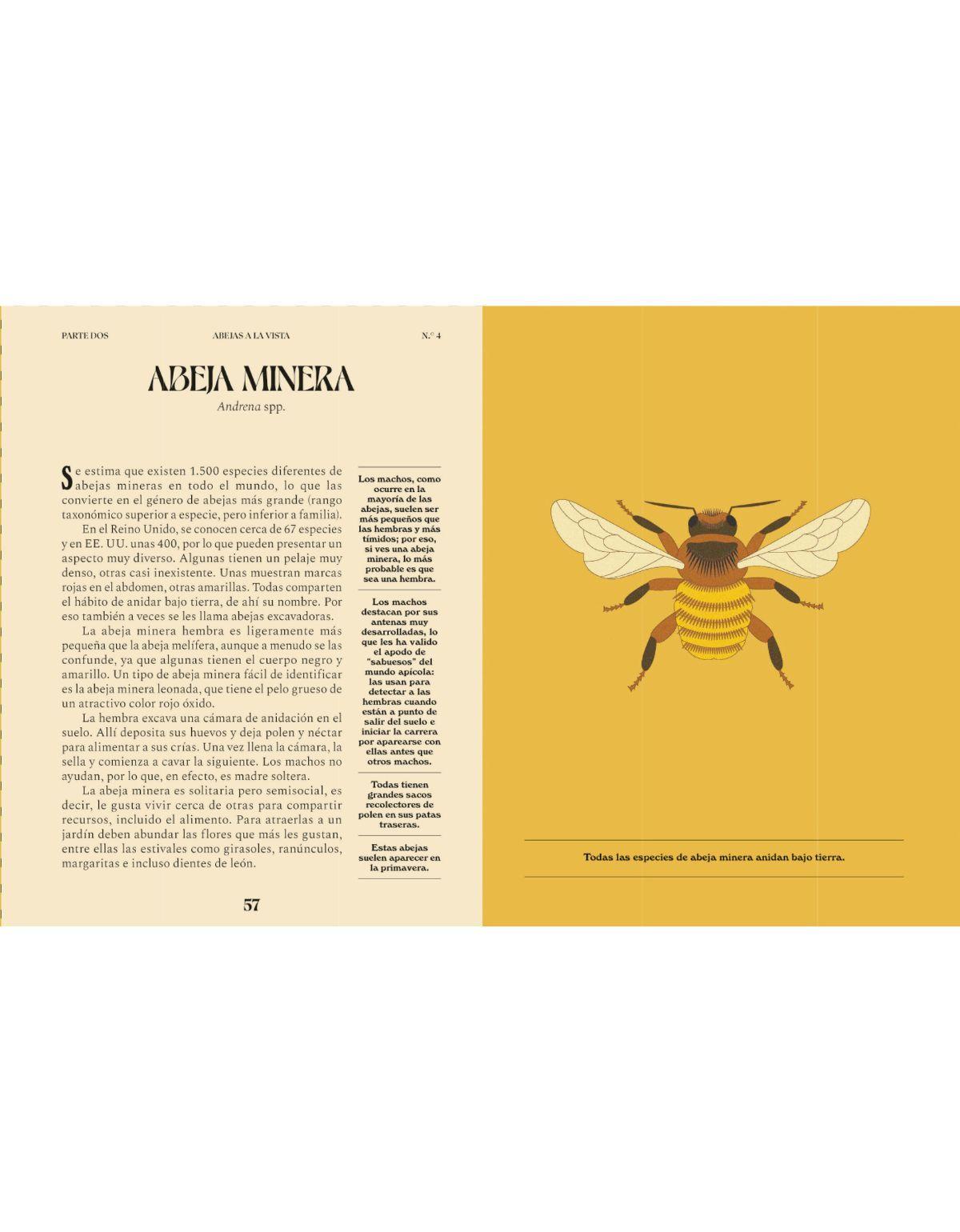 Abejas. Una guía para curiosos-3