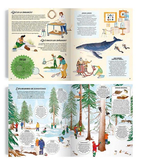 Libro Zoología. La ciencia que estudia el reino animal-1