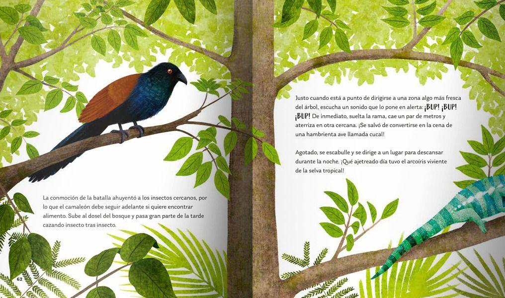 Secretos del Bosque-4