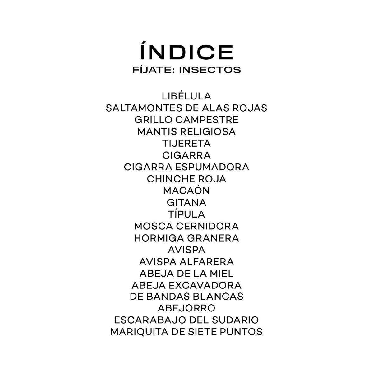 Fíjate: Insectos de Editorial MTM-1