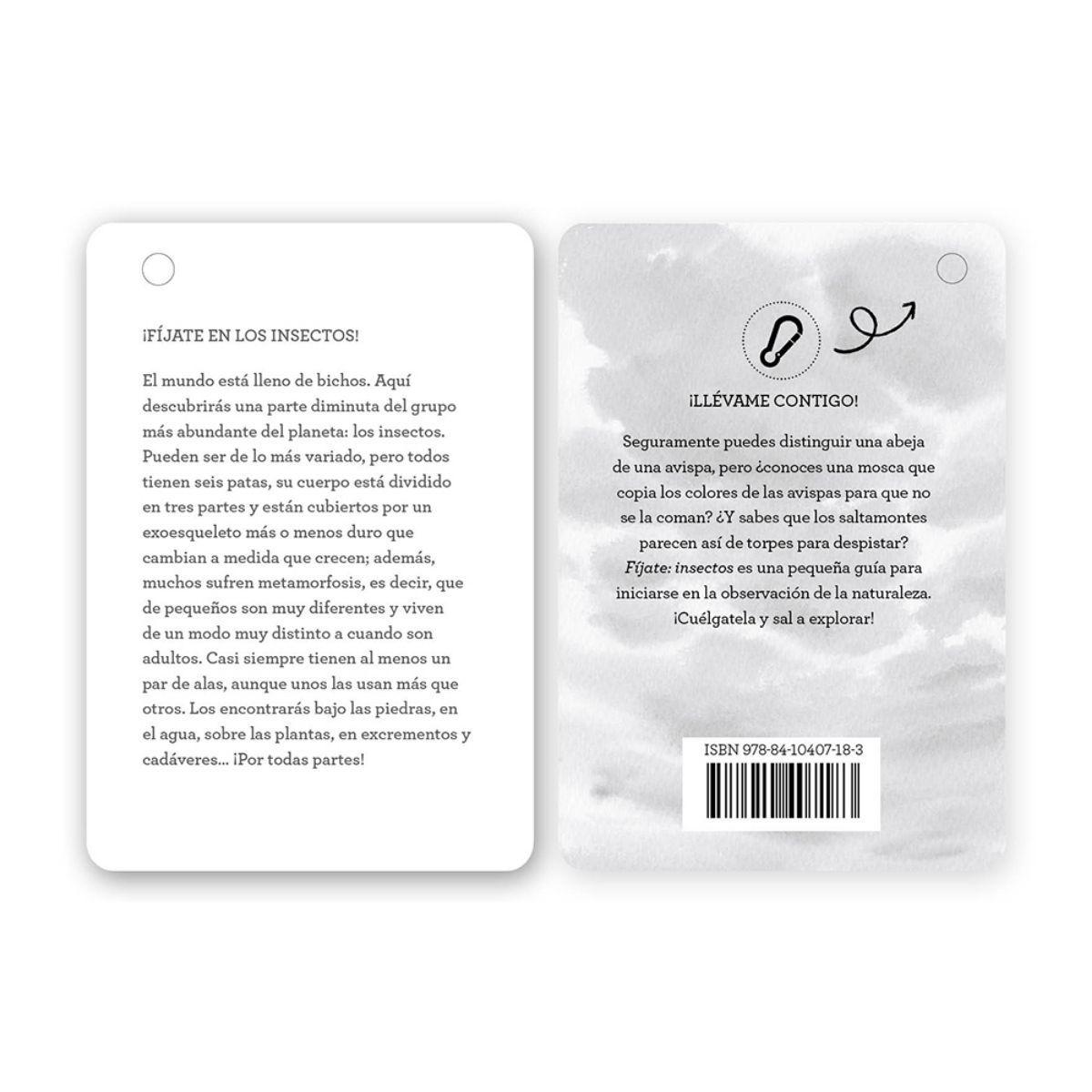 Fíjate: Insectos de Editorial MTM-4