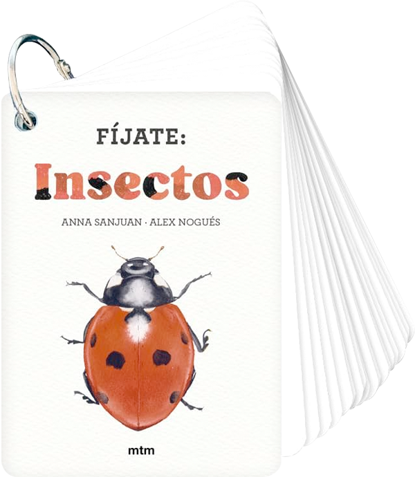 Fíjate: Insectos de Editorial MTM-6