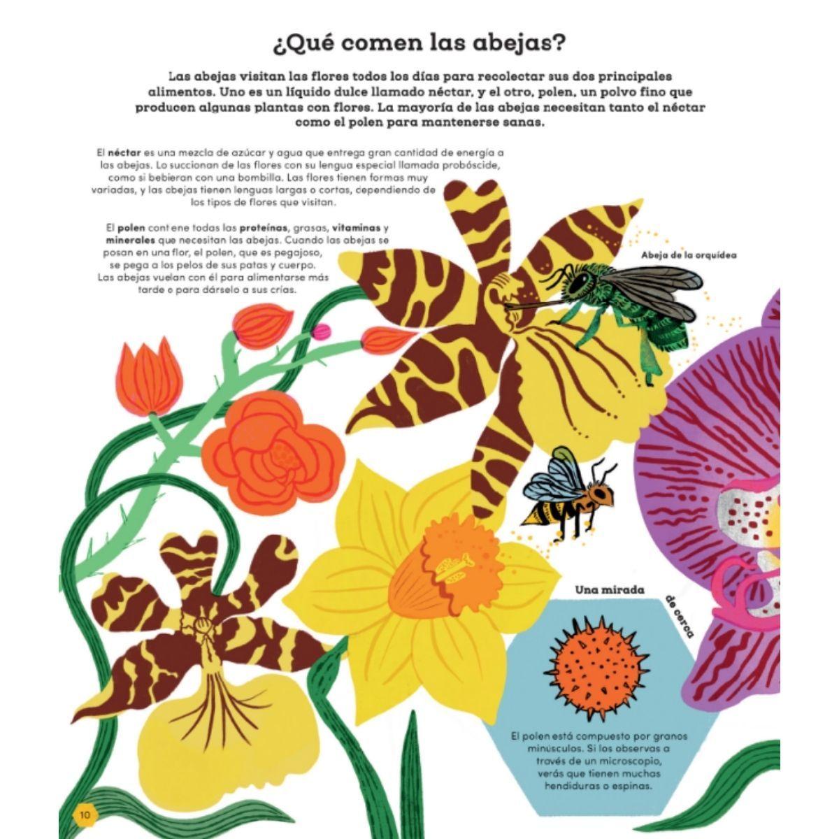 Nuestras amigas las abejas-2