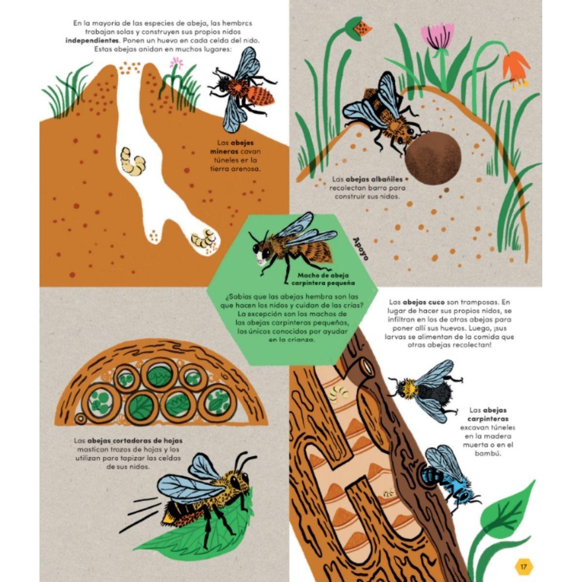 Nuestras amigas las abejas-3