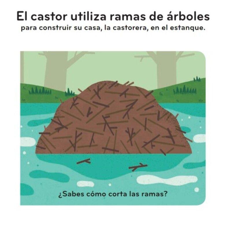 Primeros descubrimientos – Las casitas de los animales-1