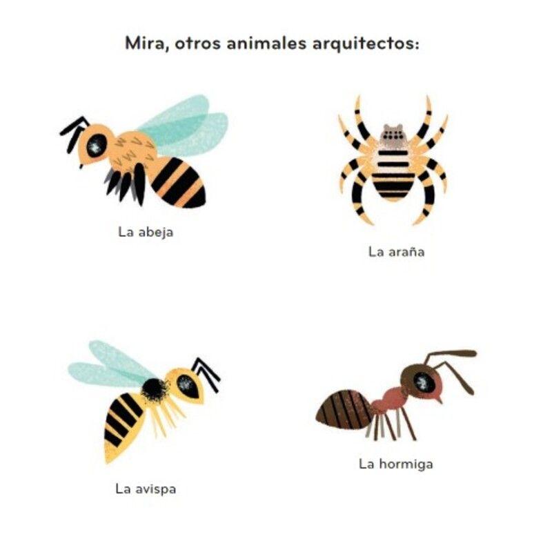 Primeros descubrimientos – Las casitas de los animales-2