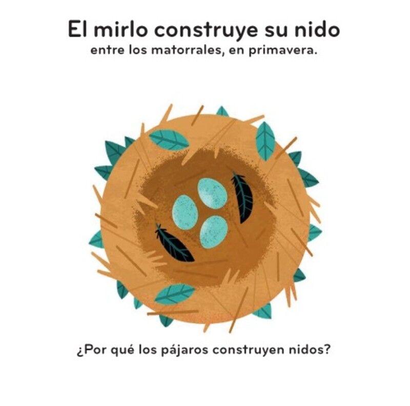 Primeros descubrimientos – Las casitas de los animales-3