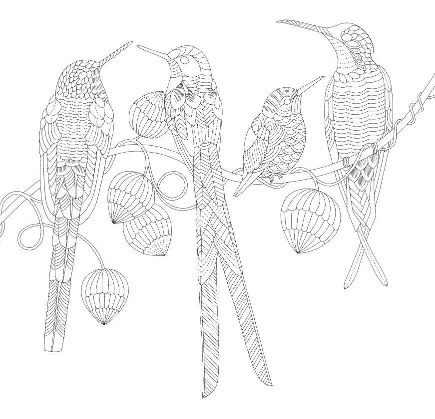 Libro Aves Hermosas Y Otros Tesoros De Los Arboles-2