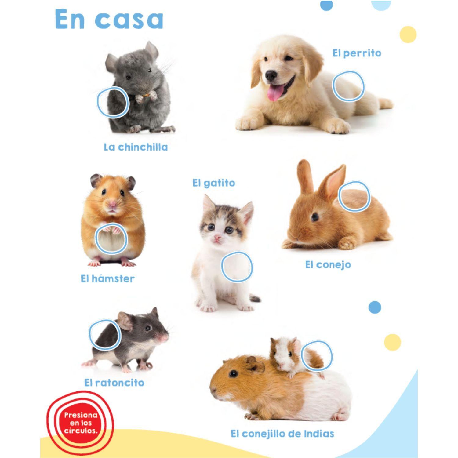 El libro de los cachorros y sus sonidos-3