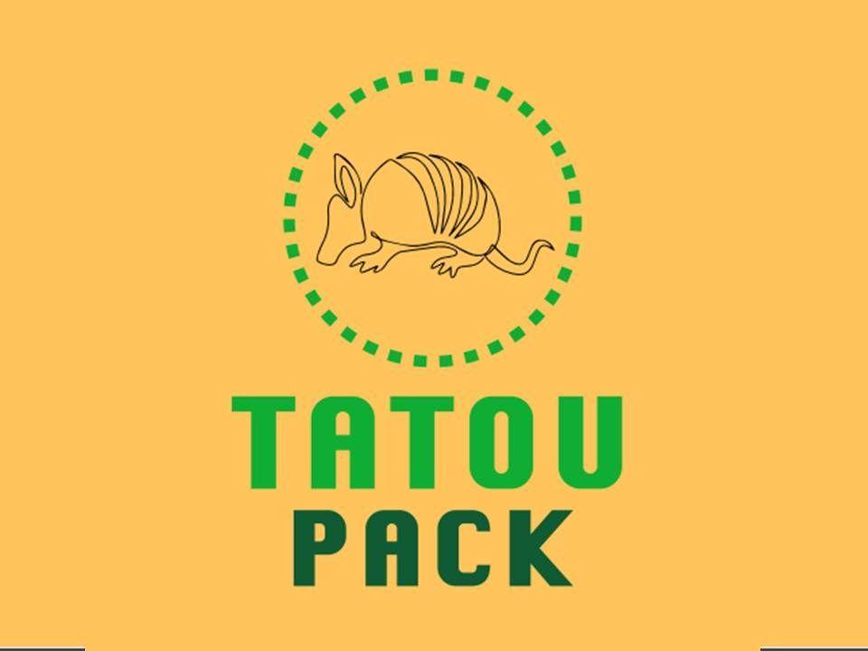 Pack 5 cajas tipo STOREBOX 38x29.5x24.5 cm - Tatou Pack-0
