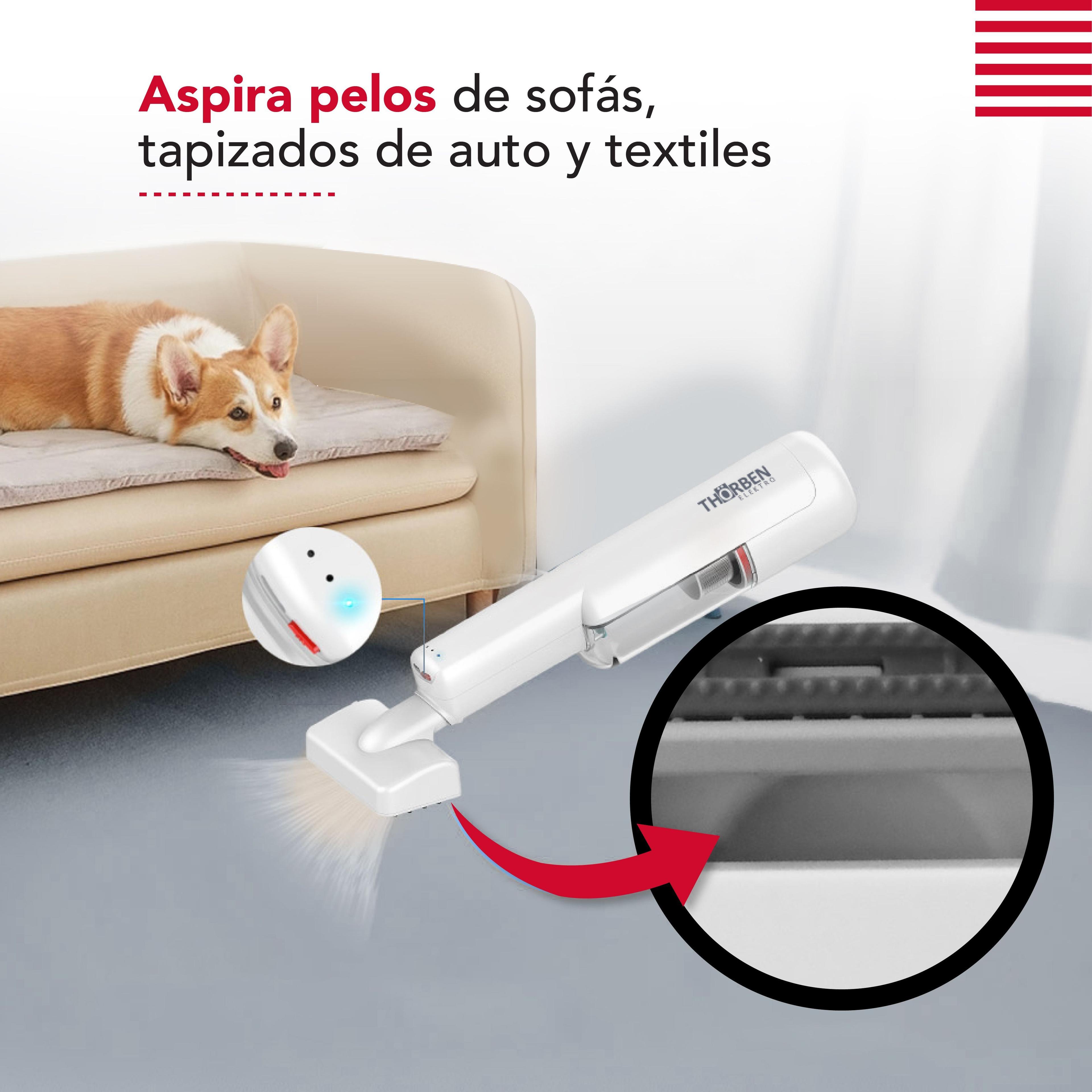 Cepillo & Aspiradora Thor Cordless Usb Pet Vac-3