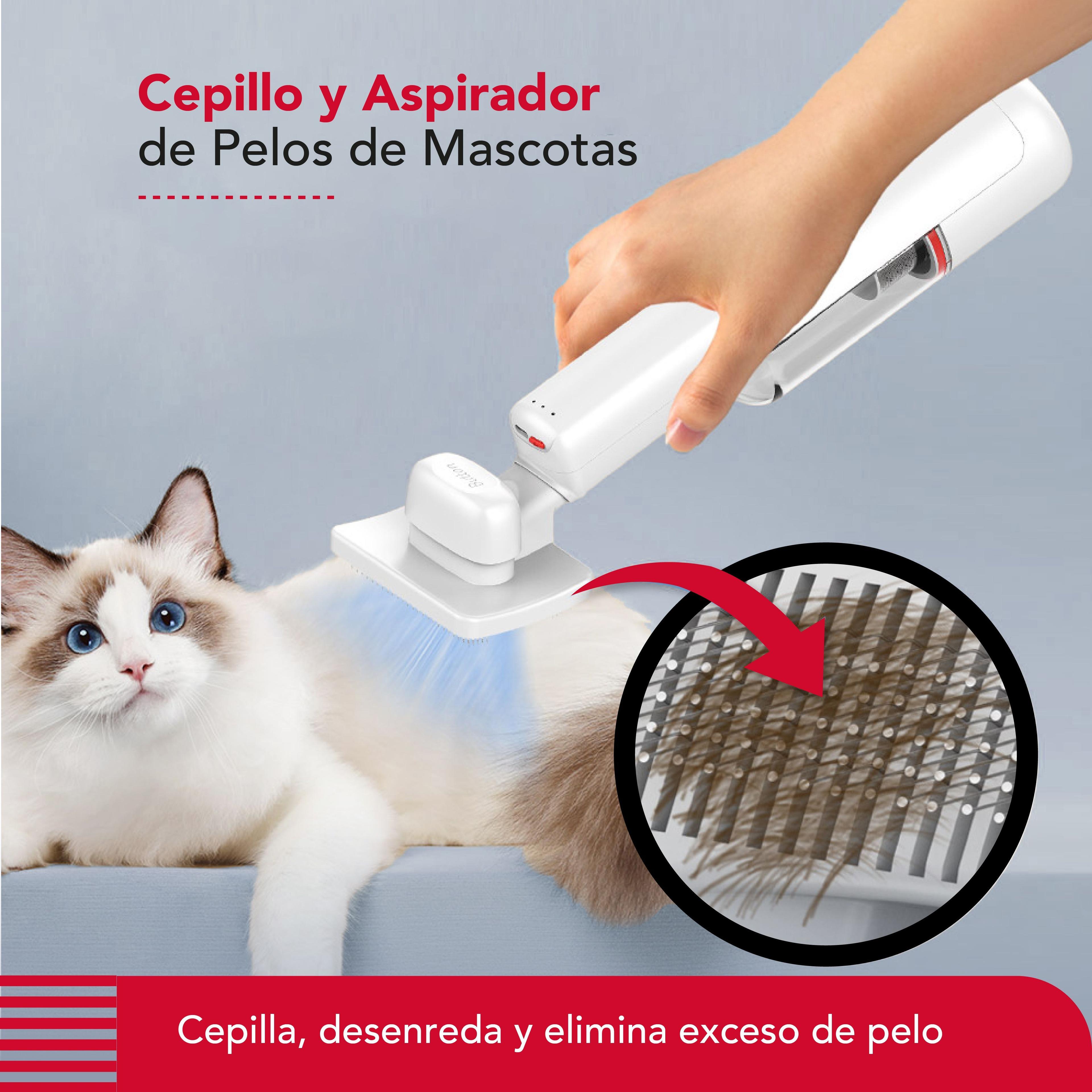 Cepillo & Aspiradora Thor Cordless Usb Pet Vac-4
