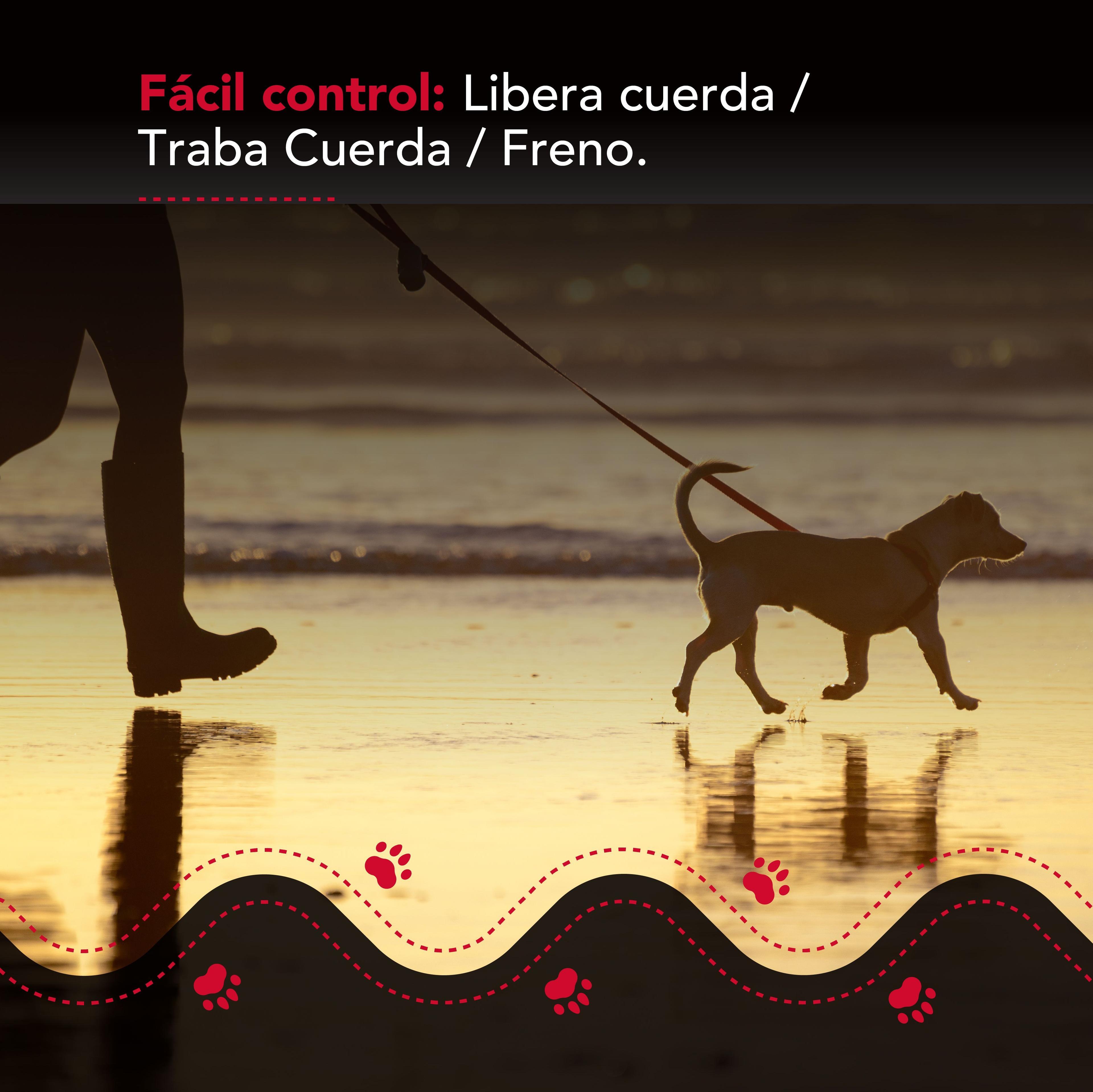 Correa Luminosa Thor Light Leash S-4
