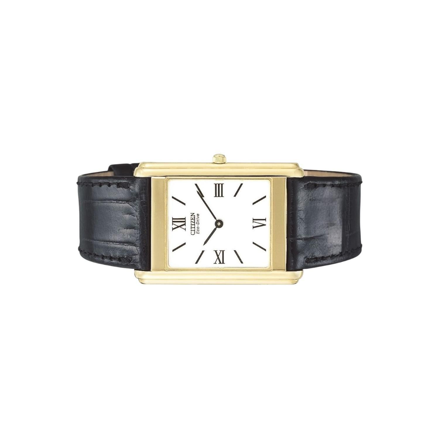 Reloj Citizen Hombre AR1002-05A-2