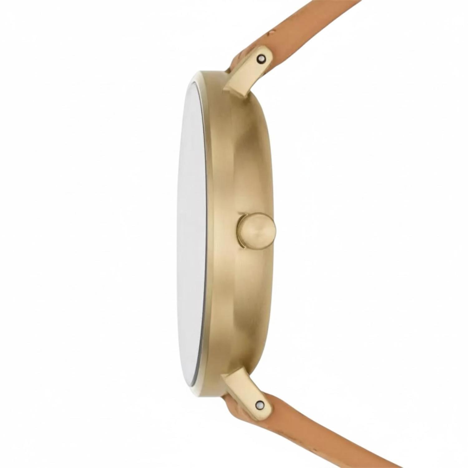 Reloj Skagen Mujer SKW2974-2
