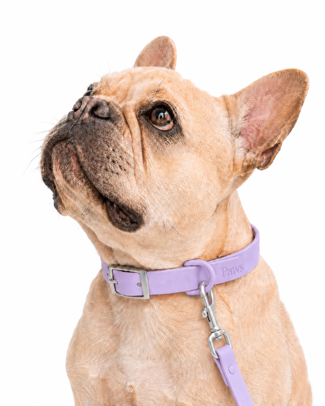 Collar Praws-1