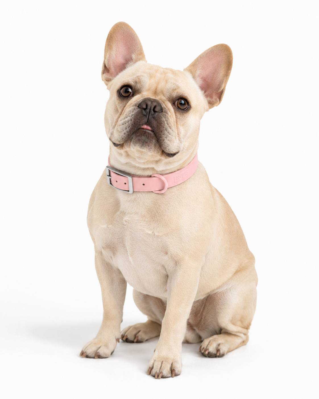 Collar Praws-2