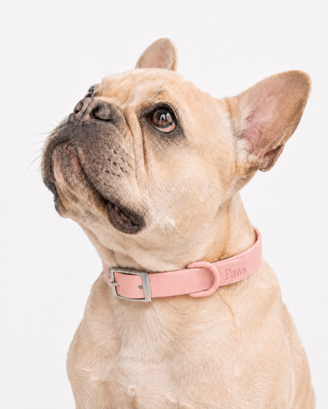 Collar Praws-3