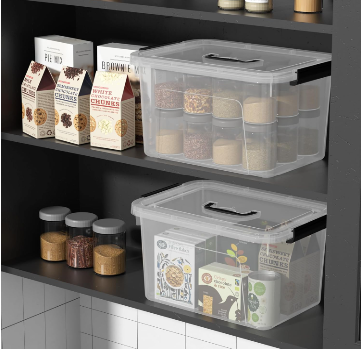 Caja organizadora plastica con tapa 15L-3