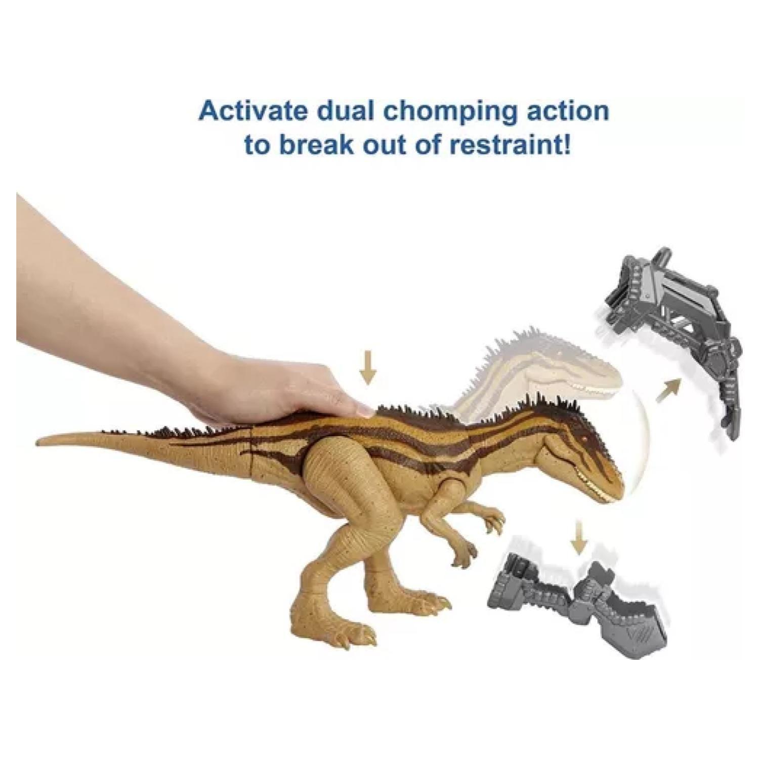 Juguete Figura De Accion Carcharodontosaurus 30Cm Jurassic World-2